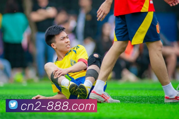 888集团官网平台生态图